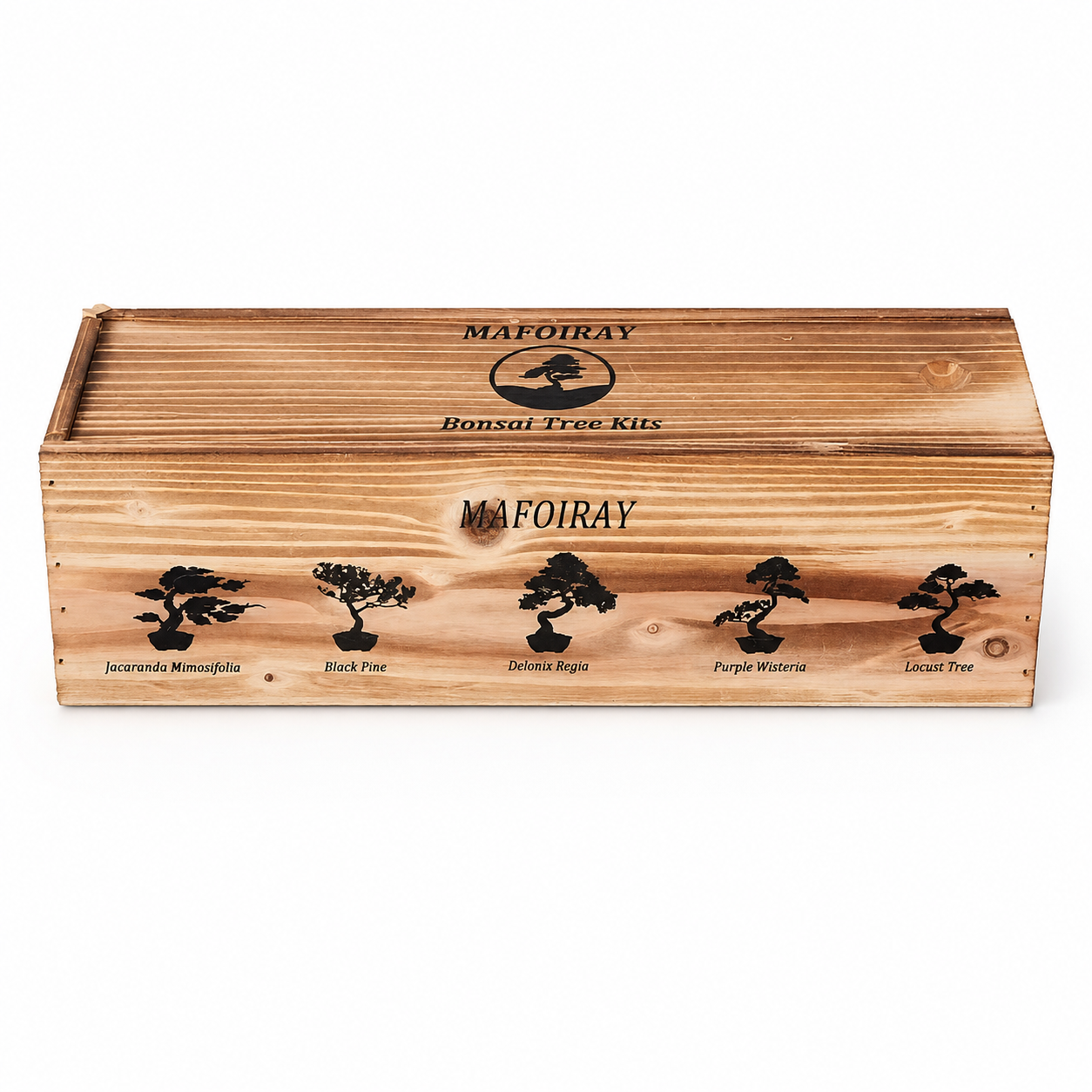 Wooden Bonsai Cultivation / Grow Kit